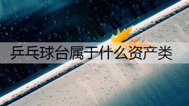 乒乓球台属于什么资产类